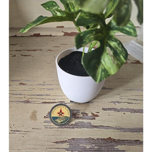 Vtg USS George H.W. Bush CVN-77 Aircraft Carrier Freedom at Work Crest Lapel Pin